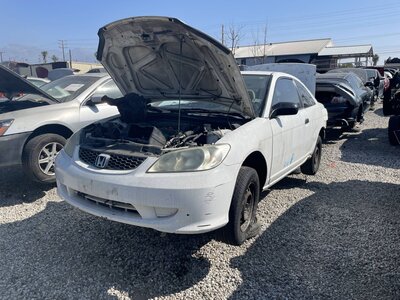 Catalog item POM062987