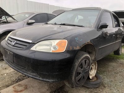 Catalog item FRE110876