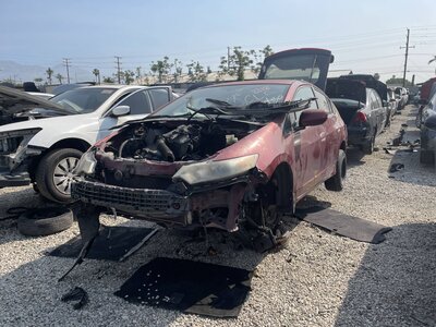 Catalog item POM063736