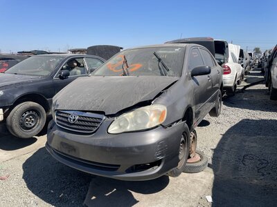 Catalog item STK056433