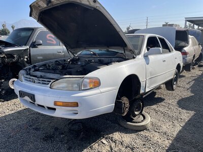 Catalog item POM063378