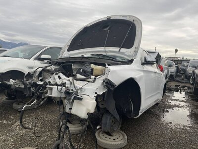 Artículo del catálogo POM061335