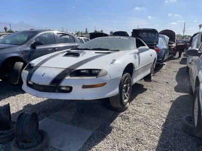 Catalog item POM064018