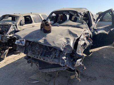 Catalog item FRE106569