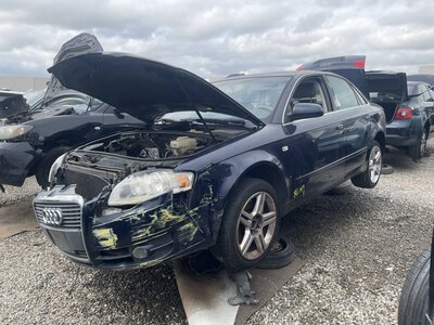 Catalog item POM063646