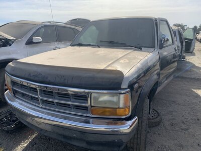 Catalog item FRE112173