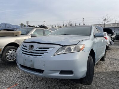 Catalog item POM061814