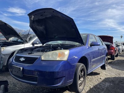 Catalog item POM062670