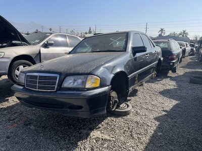 Catalog item POM063434