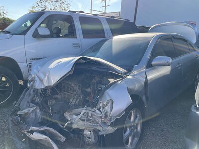 Catalog item POM059146