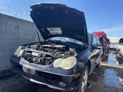 Catalog item POM062488