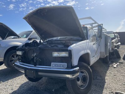 Catalog item POM063982