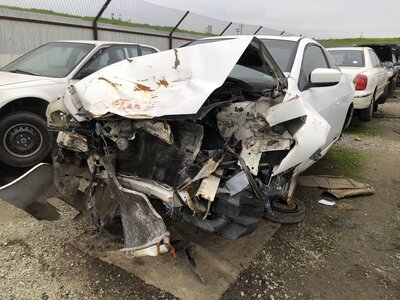 Catalog item FRE110363