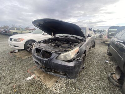 Catalog item SAC046244