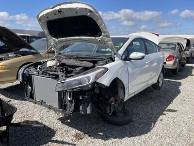 Catalog item POM064019