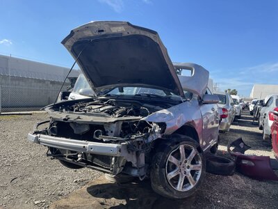 Catalog item POM062518