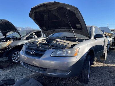 Catalog item POM061646