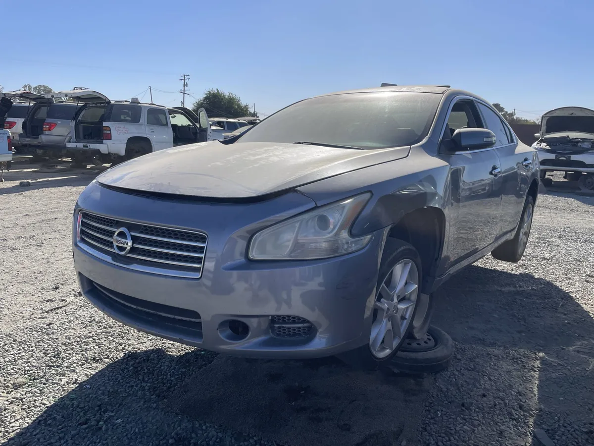 2010 Maxima