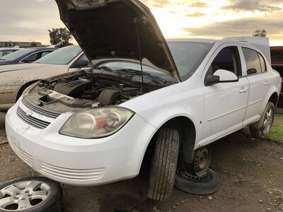 Catalog item FRE109578