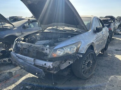 Catalog item FRE117854