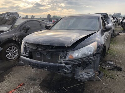 Catalog item FRE110282