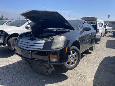 Catalog item POM063764