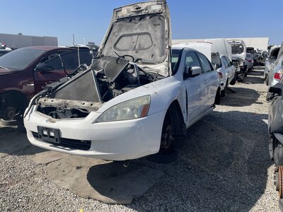 Catalog item POM062903