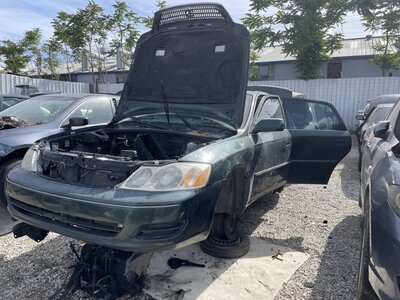 Catalog item POM063949