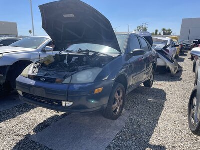 Catalog item POM063782