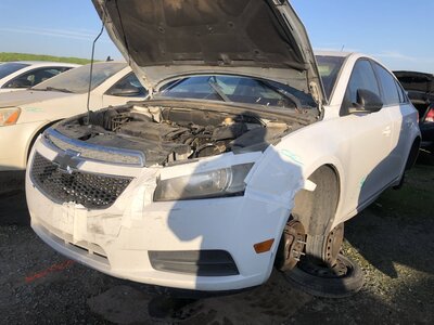 Catalog item FRE110256