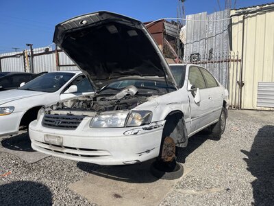 Catalog item POM063508