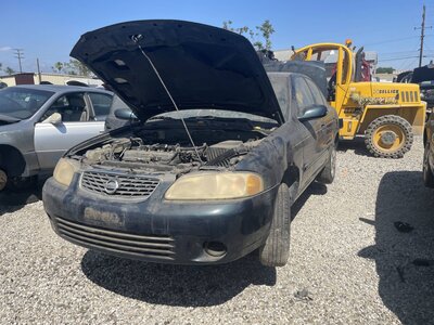 Catalog item POM063794