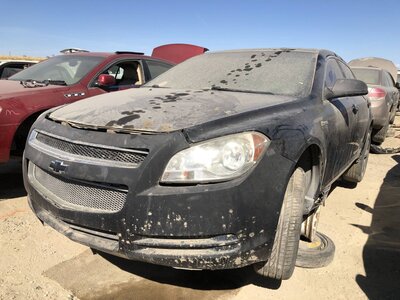 Catalog item FRE111925