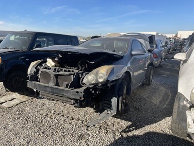 Catalog item POM063129