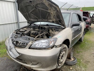 Catalog item FRE109777