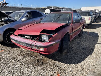 Catalog item POM063292