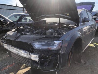 Catalog item FRE109597