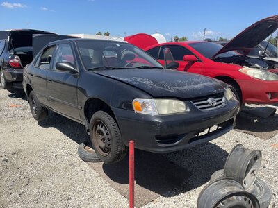 Catalog item POM063947