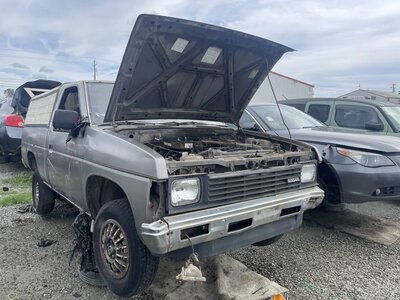 Catalog item STK056047