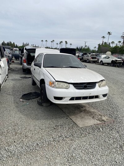 Catalog item SAC047296