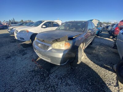 Catalog item SAC046654