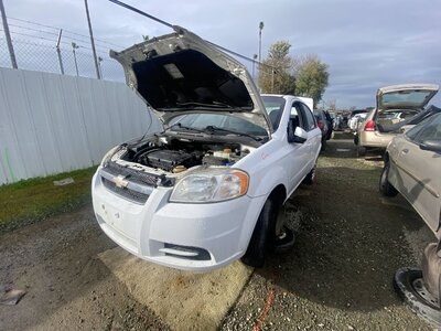 Catalog item SAC046549