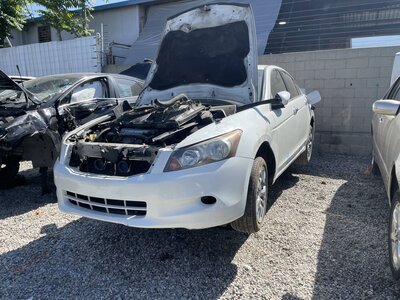 Catalog item POM064090