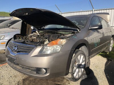 Catalog item FRE111586