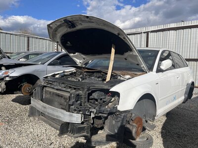 Artículo del catálogo POM062619