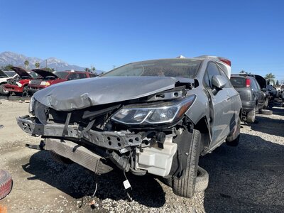 Catalog item POM062342