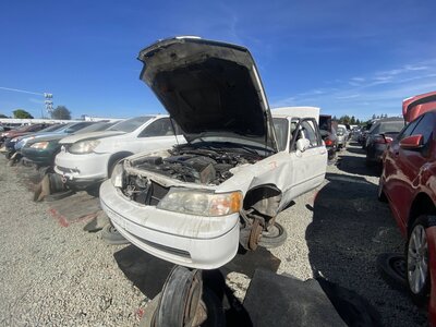 Catalog item SAC044554