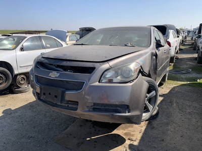 Catalog item FRE111884