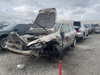 Catalog item POM063658