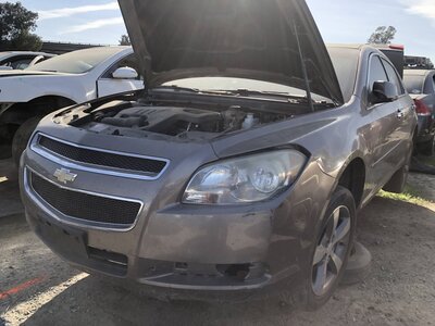 Catalog item FRE111698